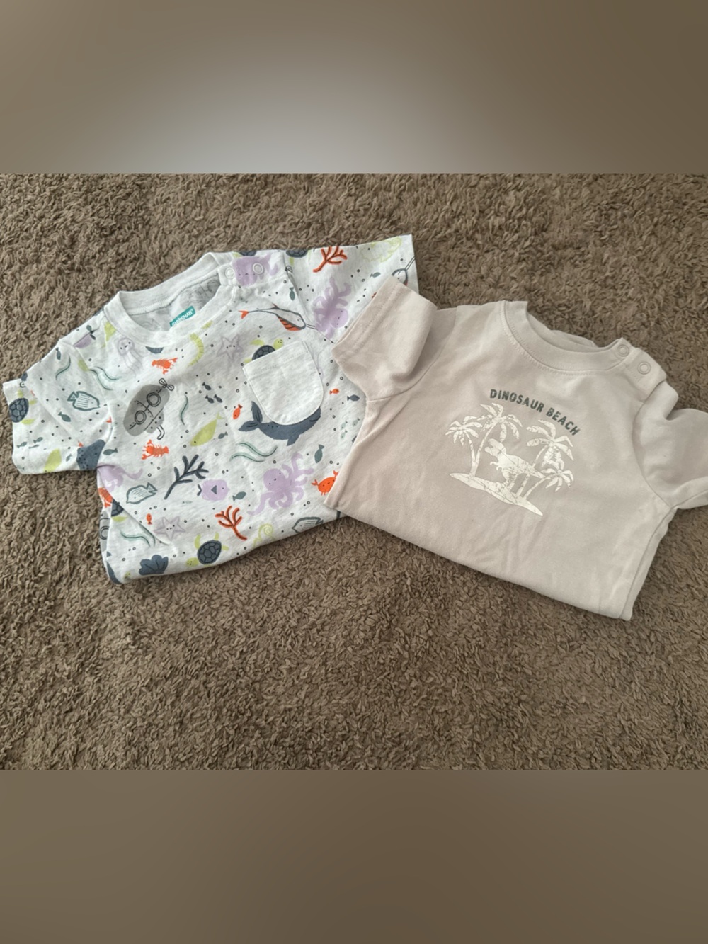 Garanimals Baby Bodysuit Set